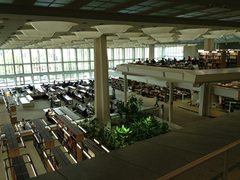 Inside the library