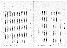 (10) 防衛総司令官の布告