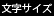 文字サイズ