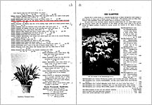 (15) 園芸会社のユリ根輸出用英語目録