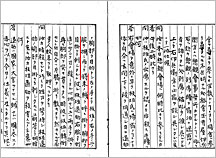 (6) 訊問調書