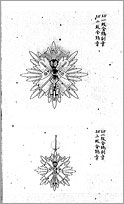 (8) 金鵄勲章の等級製式及佩用式