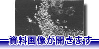 クリックすると資料画像が開きます